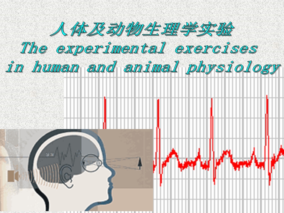 家兔呼吸活动的调节.ppt_第1页