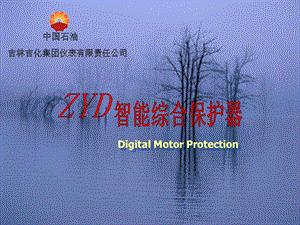 ZYD智能综合保护器吉林吉化仪表.ppt