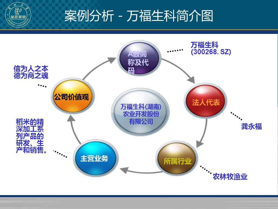 万福生科财务造假案例分析兰州大学.ppt_第3页