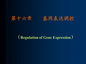 十六章节基因表达调控RegulationofGeneExpression.ppt