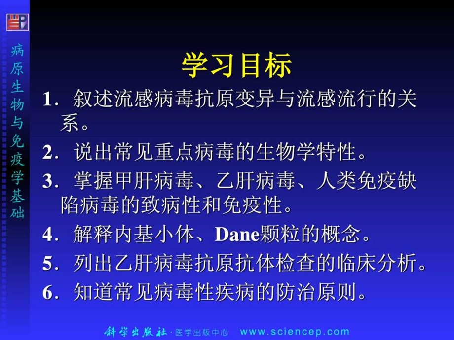 常见病毒图文.ppt.ppt_第2页