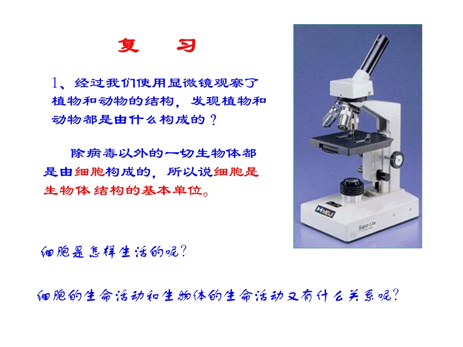 七年级生物细胞是生命活动的单位.ppt_第2页