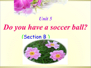 七年级英语Doyouhaveasoccerball课件sectionB.ppt