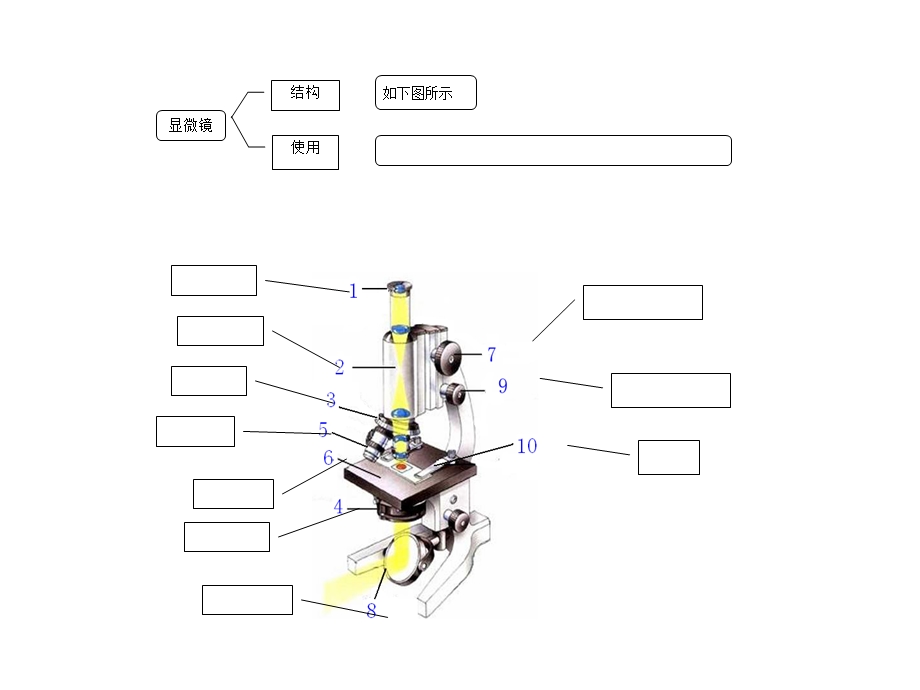 一生物的基本特征.ppt_第3页