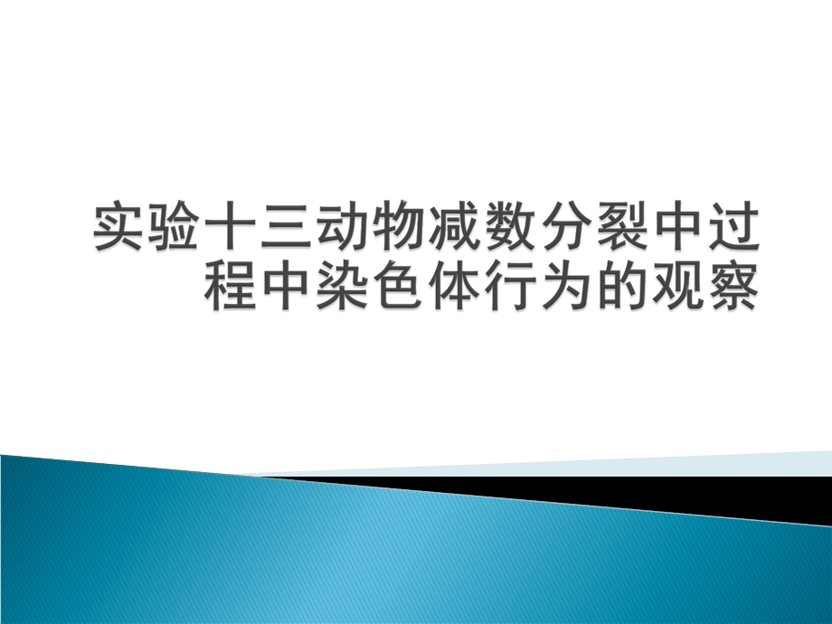 实验十三动物细胞减数分裂过程中染色体行为的观察.ppt_第1页