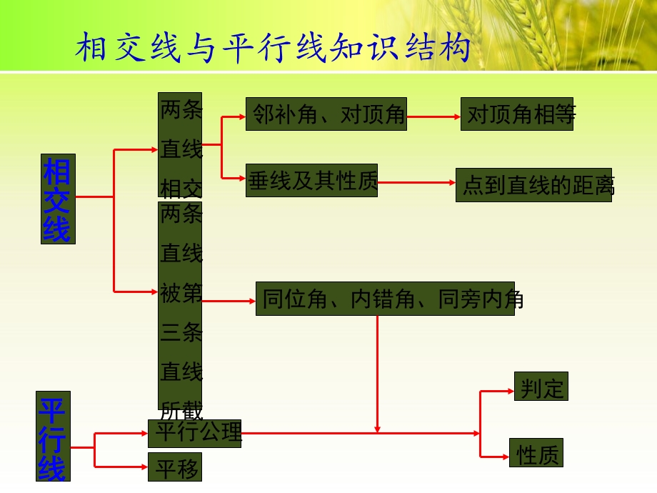 七年级相交线与平行线总复习课件p.ppt_第1页