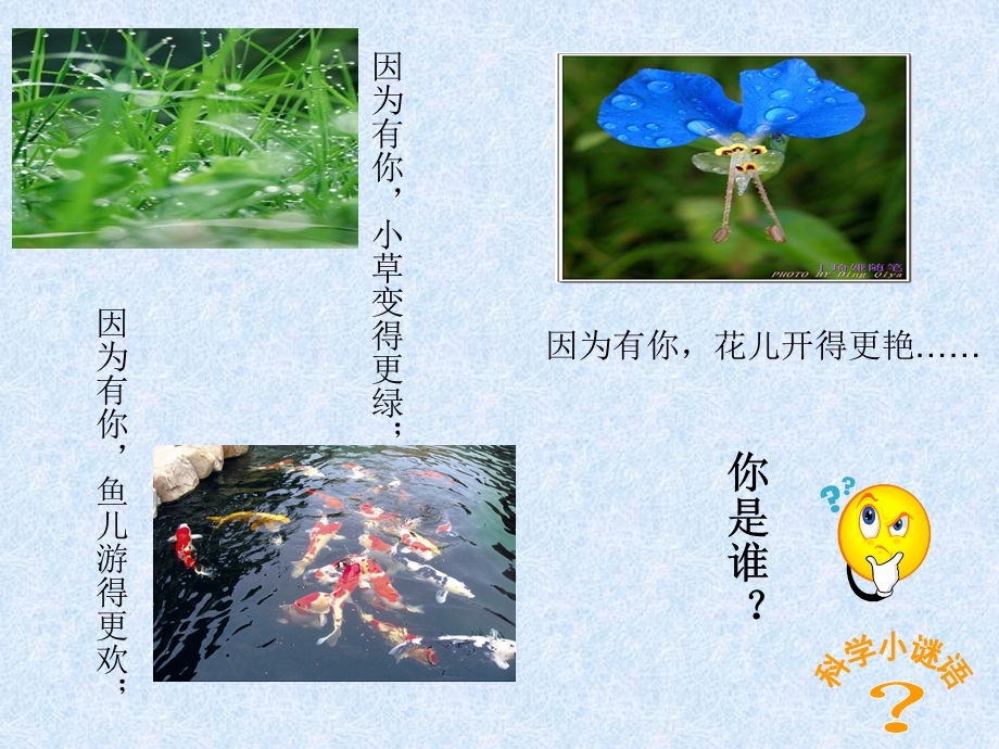 三年级科学《神奇的水》.ppt_第2页