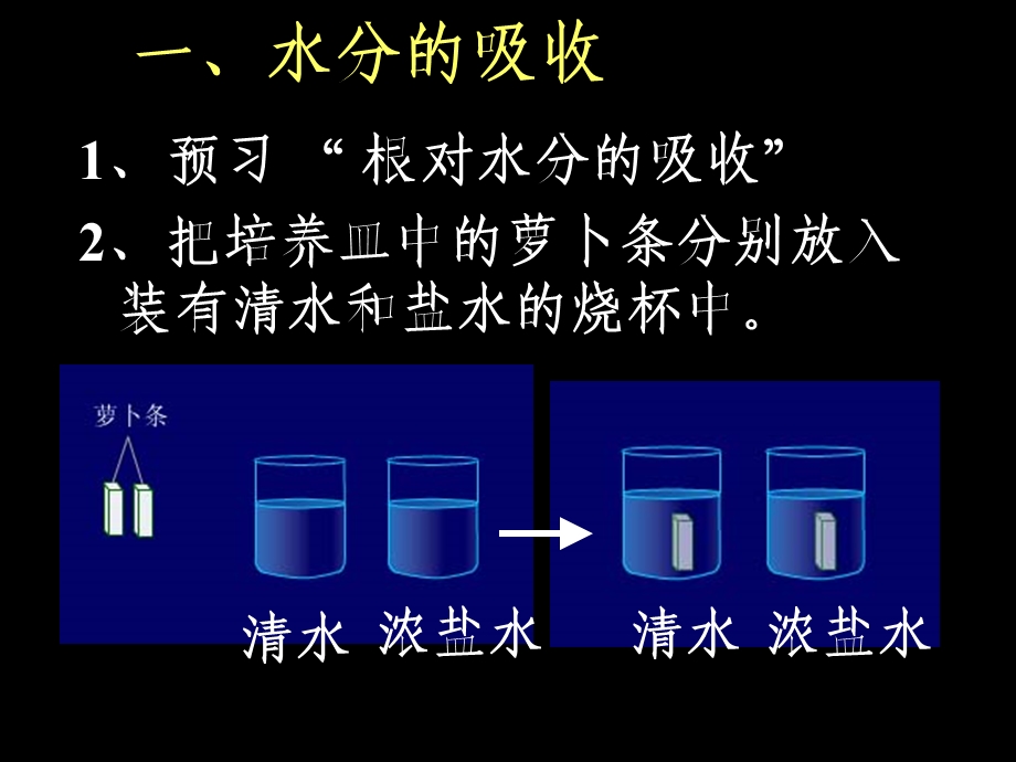 七年级生物上册吸收作用课件.ppt_第3页