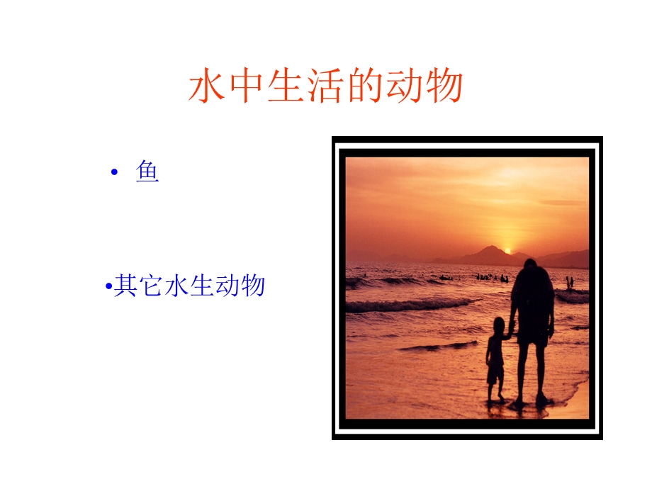 一节水中生活的动物.ppt_第2页