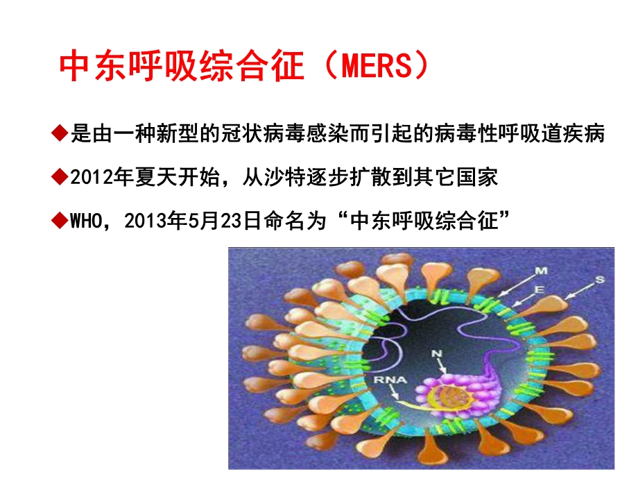 中东呼吸综合征防控.ppt_第2页