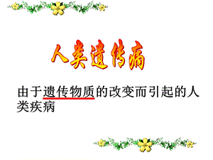 人类遗传病wei.ppt