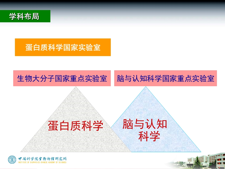 中科院生物所项目.ppt_第3页