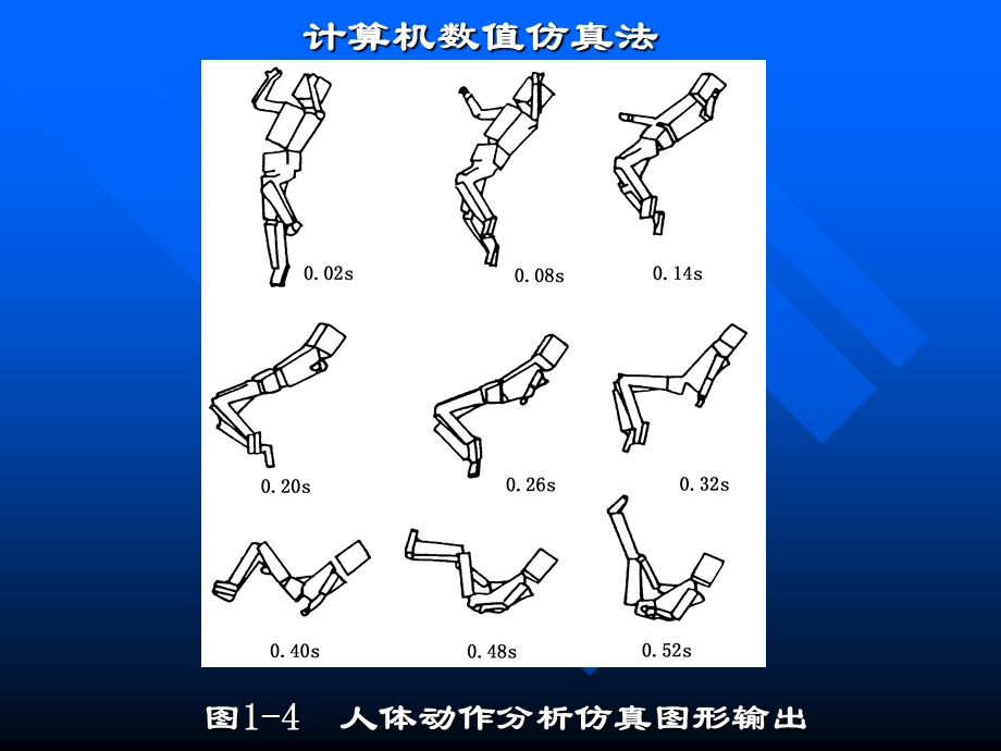 人体测量与数据.ppt_第3页