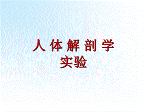 人解实验课件(针推班).ppt