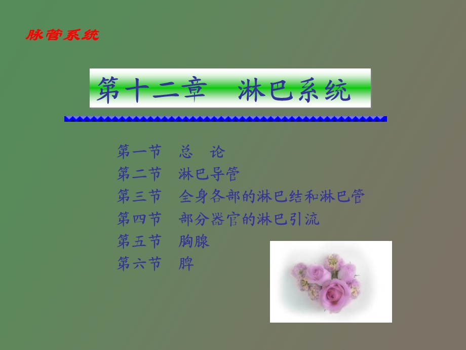 临床本科淋巴系统.ppt_第3页