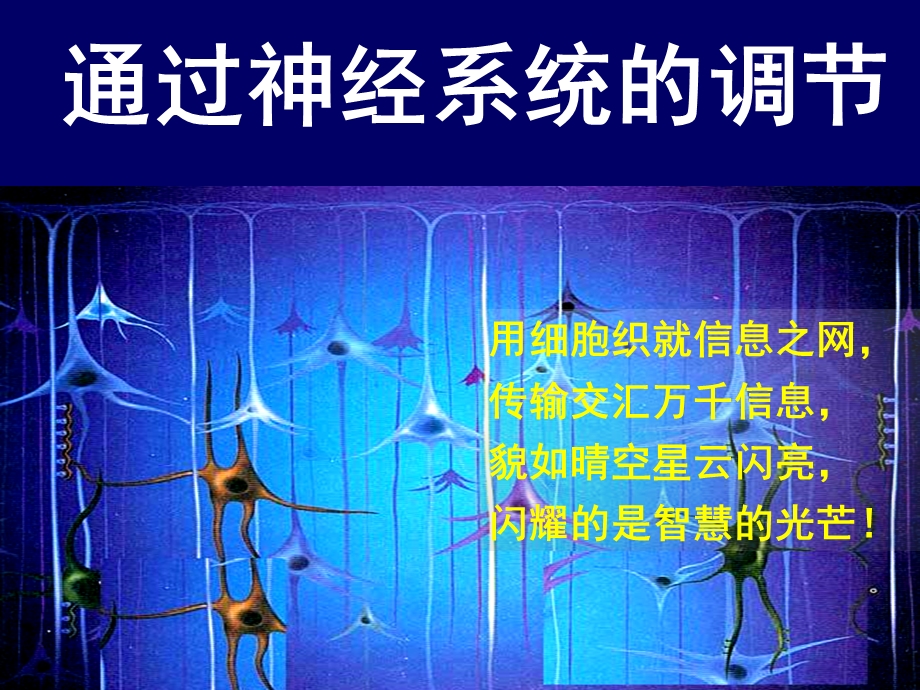 人教版教学课件第一节通过神经系统的调节课件.ppt_第1页