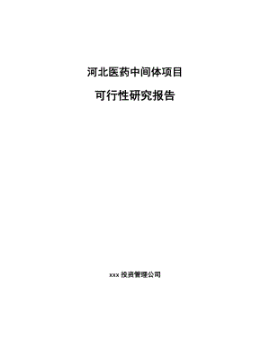 XX医药中间体项目研究报告.docx