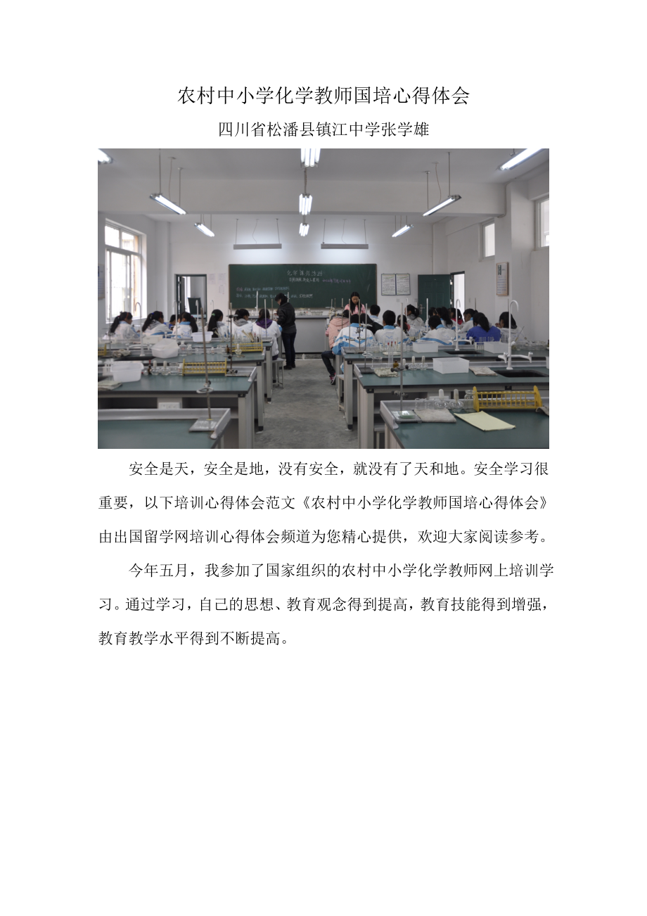 化学网上培学心得四川松潘张学雄.doc_第1页