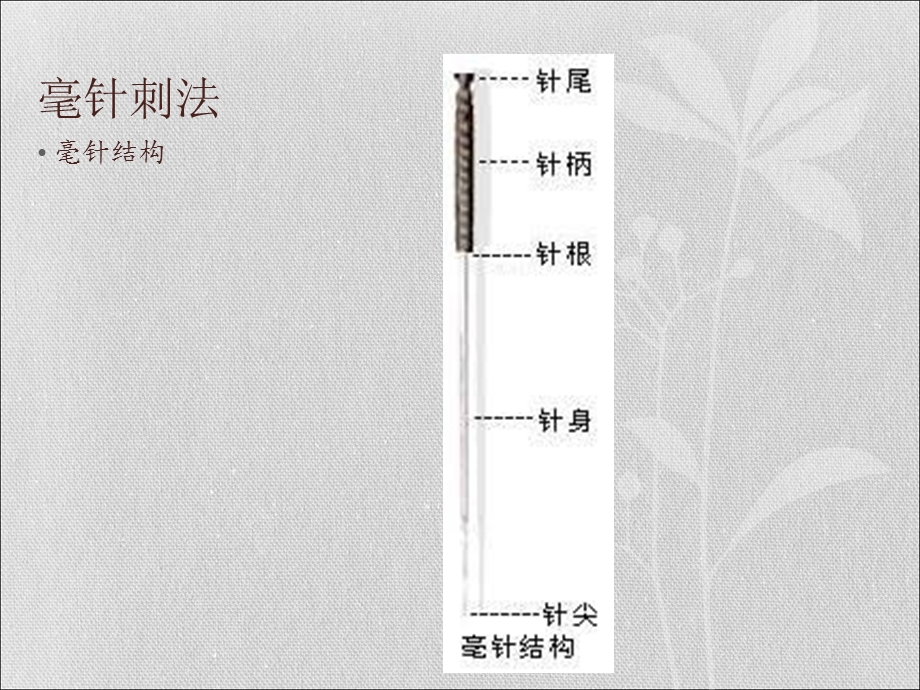 中医针灸的几种刺法.ppt_第2页