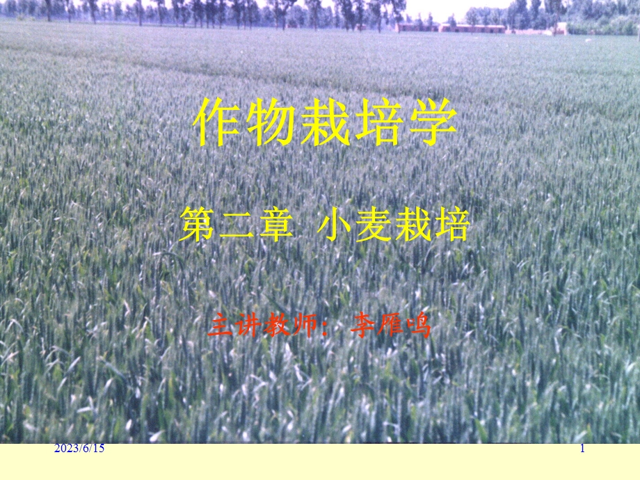 作物栽培学第二章小麦栽培.ppt_第1页