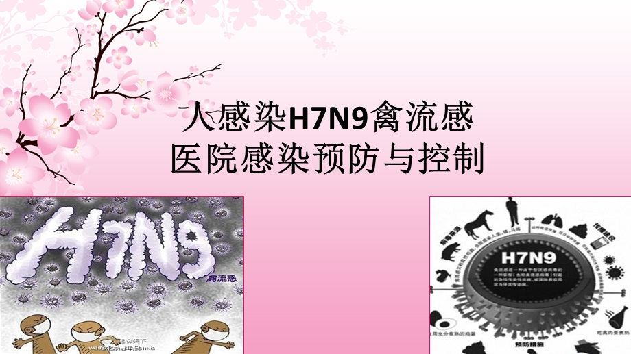 人感染禽流感(H7N9)医院感染防控技术培训课件.ppt_第1页