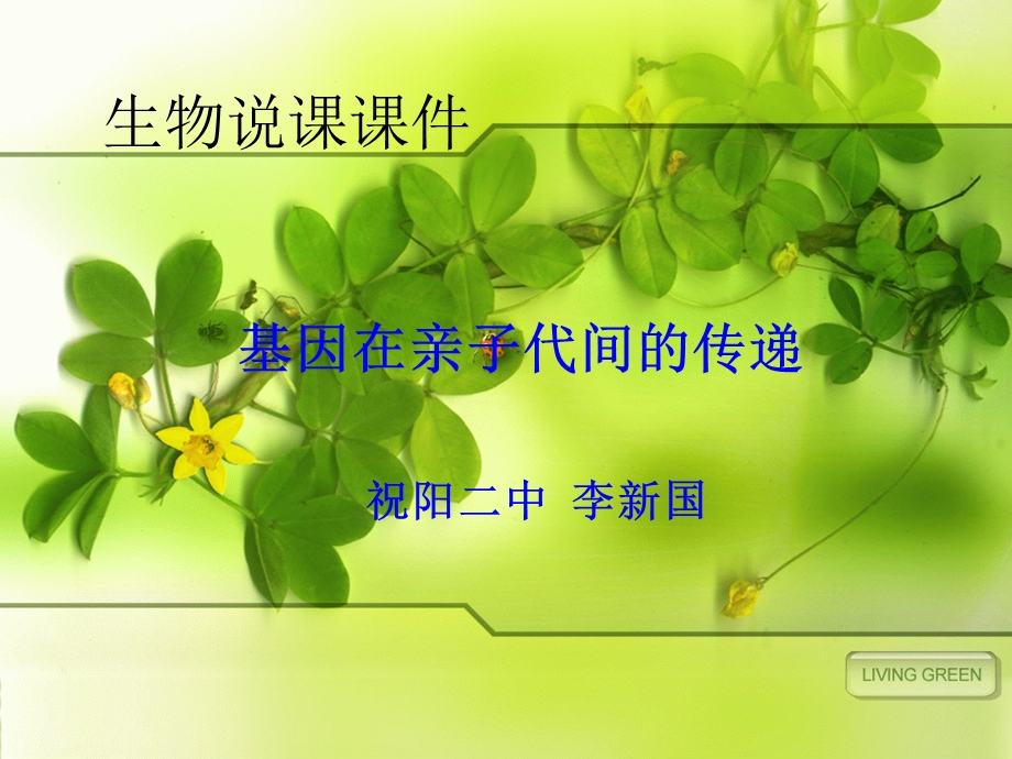 云南屏生物说课课件.ppt_第1页