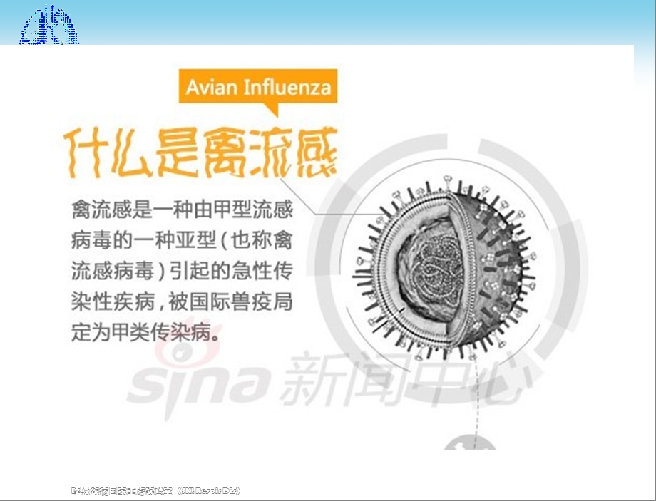 人感染H7N9禽流感诊疗方案知识培训.ppt_第2页