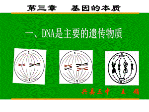 人教版教学课件第三章第一节DNA主要的遗传物质.ppt