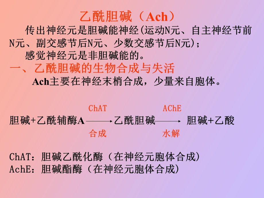 中枢递质通路精美医学.ppt_第3页