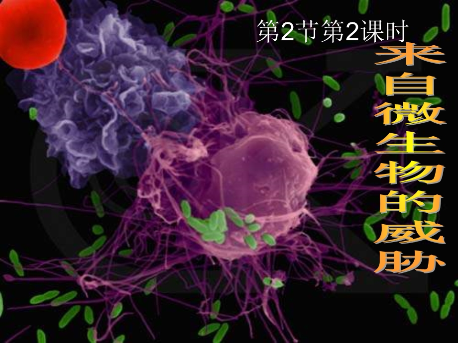 九年级科学来自微生物的威胁(I).ppt_第1页