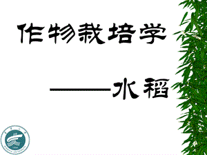 作物栽培学水稻.ppt