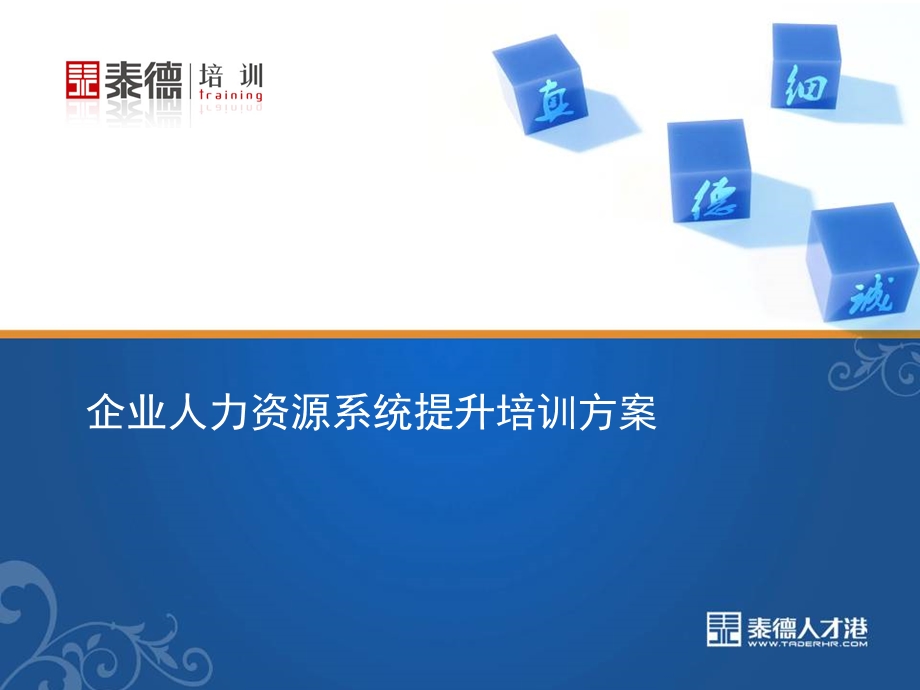 企业人力资源系统提升培训方案.ppt_第1页