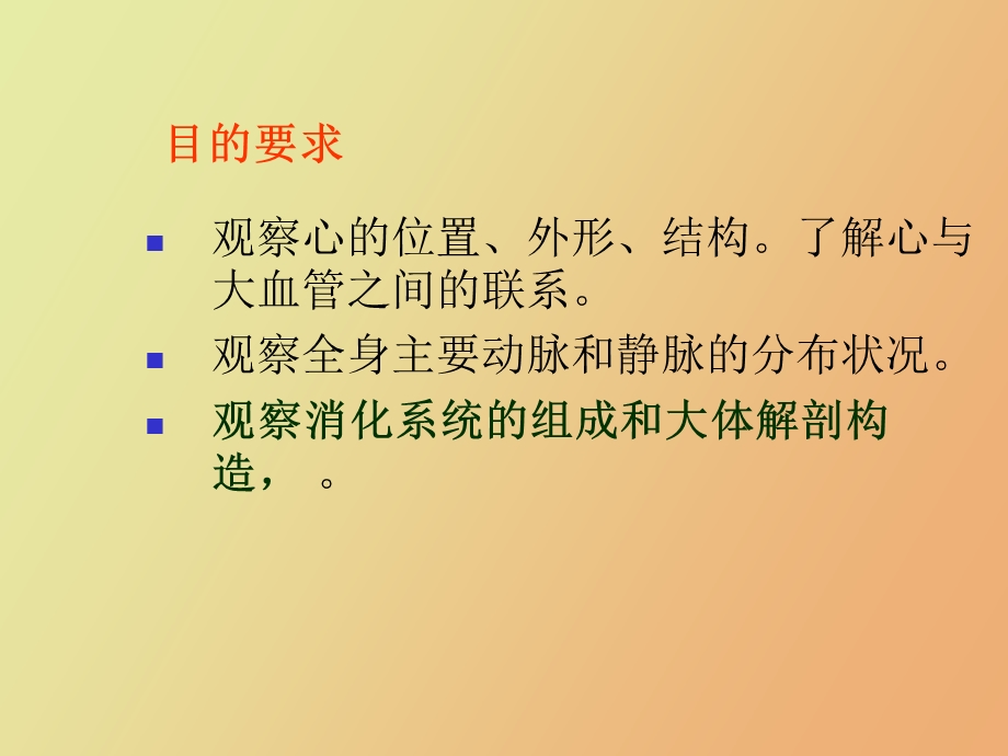 人体内脏系统的观察实验.ppt_第2页