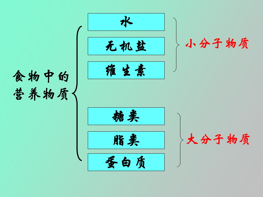 人和动物体内三大有机营养物质的代谢.ppt_第2页