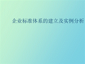 企业标准体系的建立及实例分析.ppt