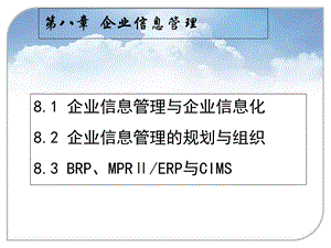 企业信息管理与企业信息化.ppt