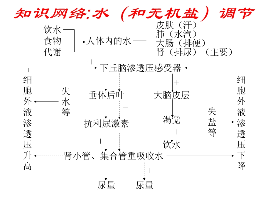 人体的内环境与稳态第12单元.ppt_第3页