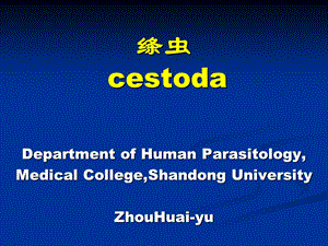 人体寄生虫学-带状绦虫.ppt