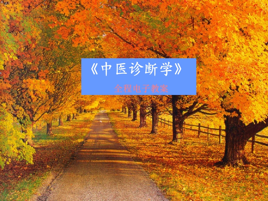 中医诊断学课件完整.ppt_第2页