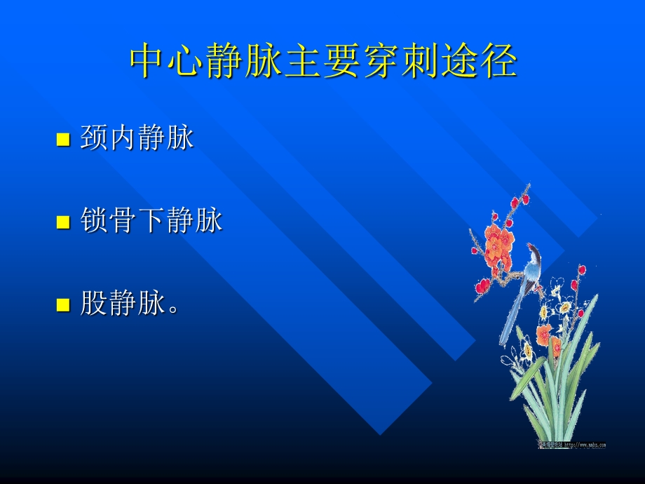 中心静脉压的临床意义.ppt_第3页