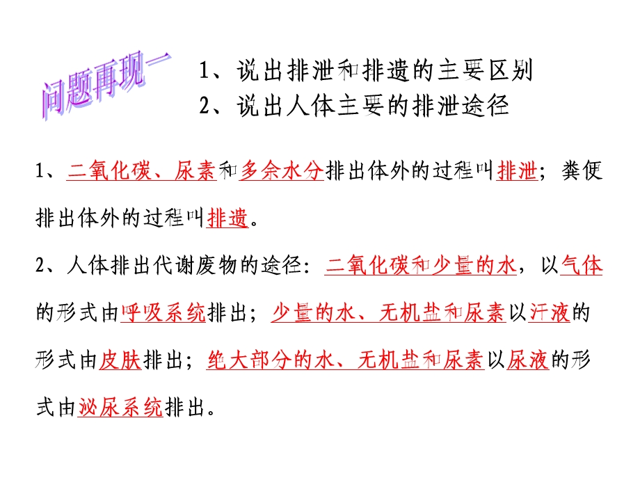 人体内废物的排出(共32张PPT).ppt_第2页