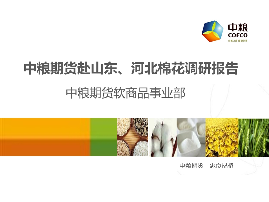 中粮期货棉花调研报告.ppt_第1页