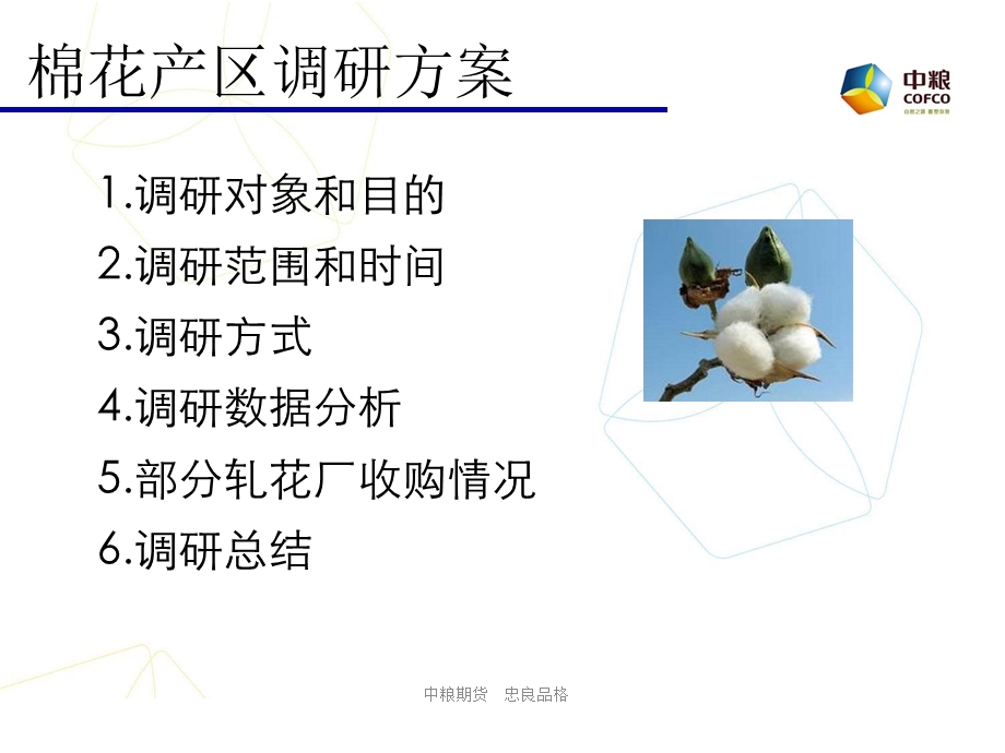 中粮期货棉花调研报告.ppt_第2页