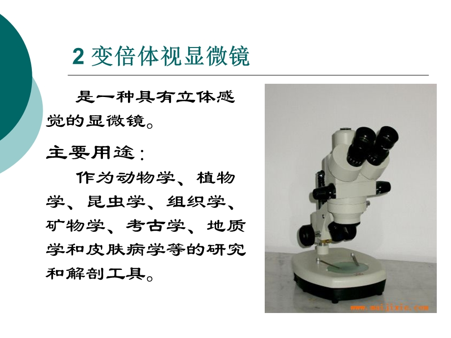 中药显微鉴别技术讲义.ppt_第3页