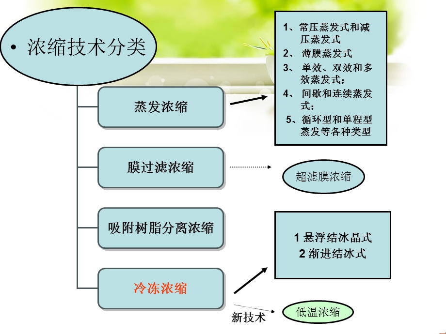 中药浓缩技术(冷冻浓缩).ppt_第3页