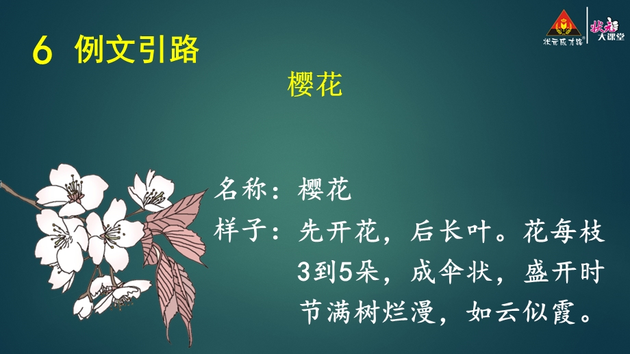 习作《我的植物朋友》范.ppt_第2页