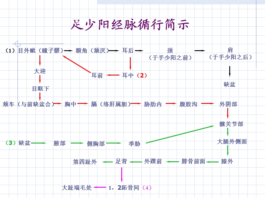 人体经络穴位图谱11胆经.ppt_第3页