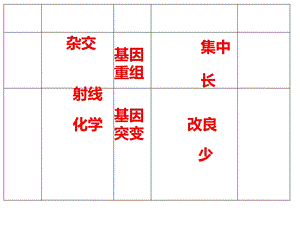 五种育种方法总结.ppt