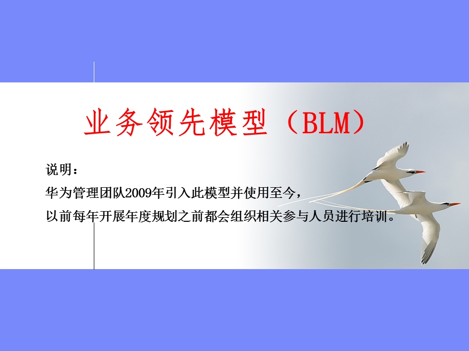 业务领先模型(BLM模型)-华为引入的年度规划思路.ppt_第1页