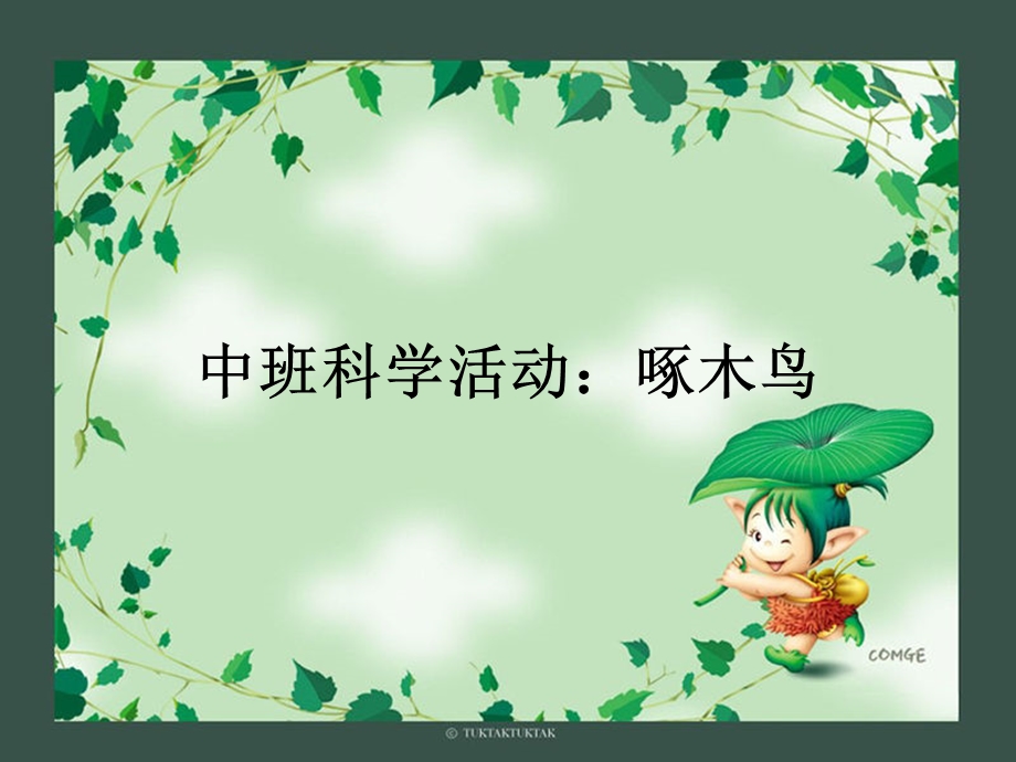 中班科学教案：啄木鸟(课件).ppt_第1页